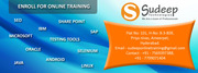 SAP SD online training institutes